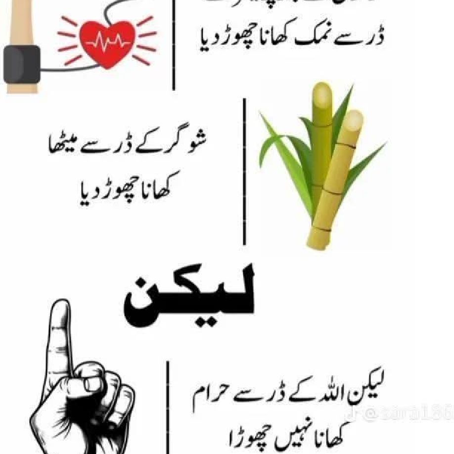 ہدایت کے جھونکے 